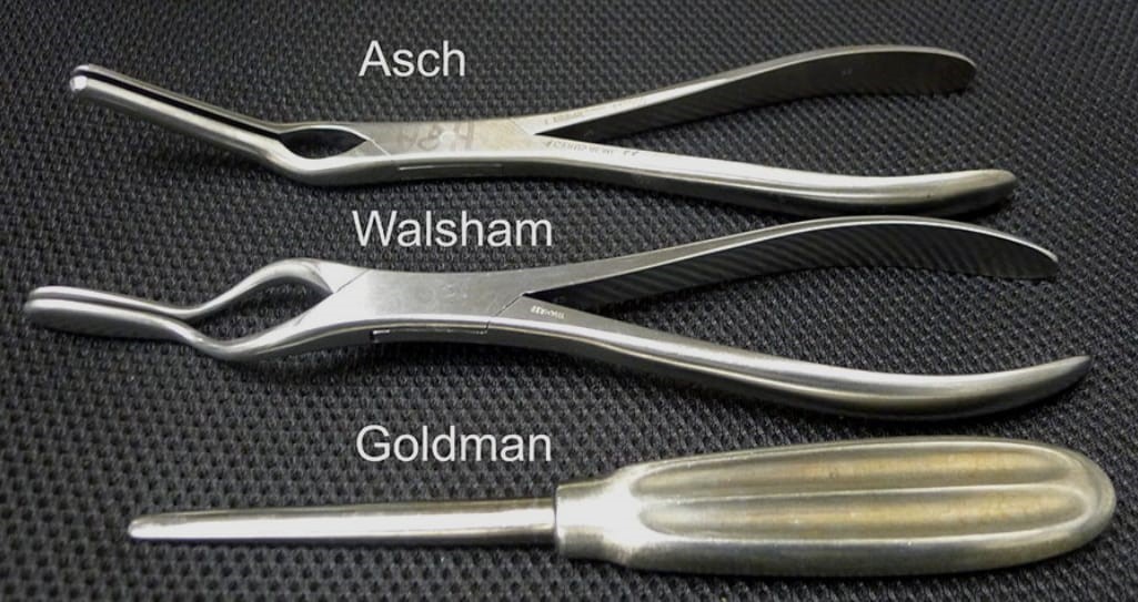 Nasal Septum